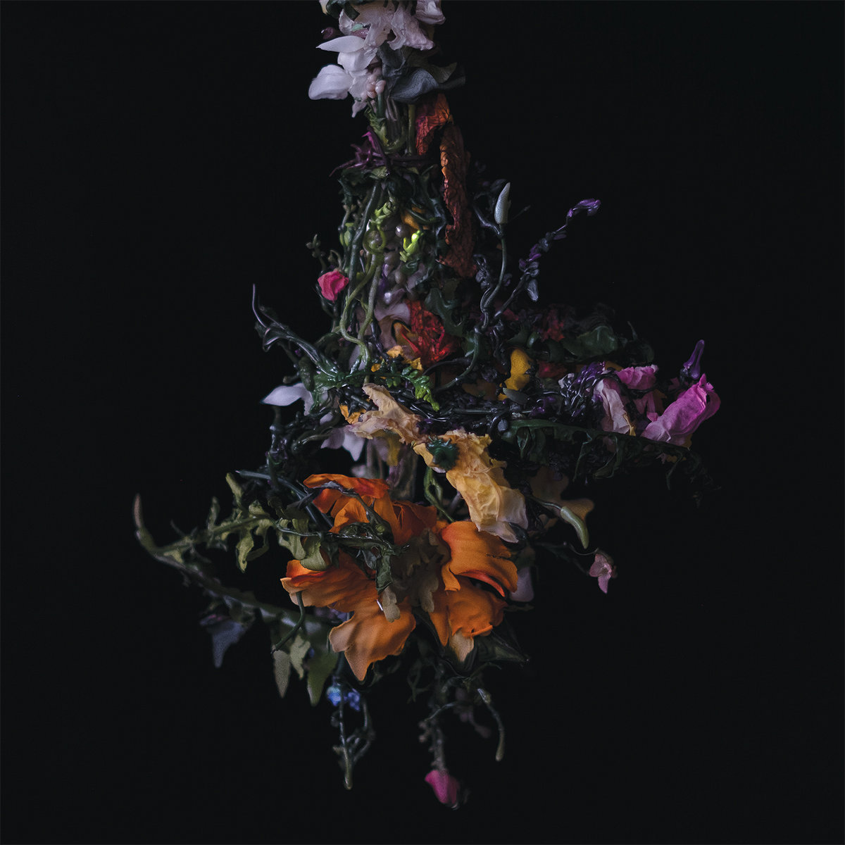 Nature Morte cover art