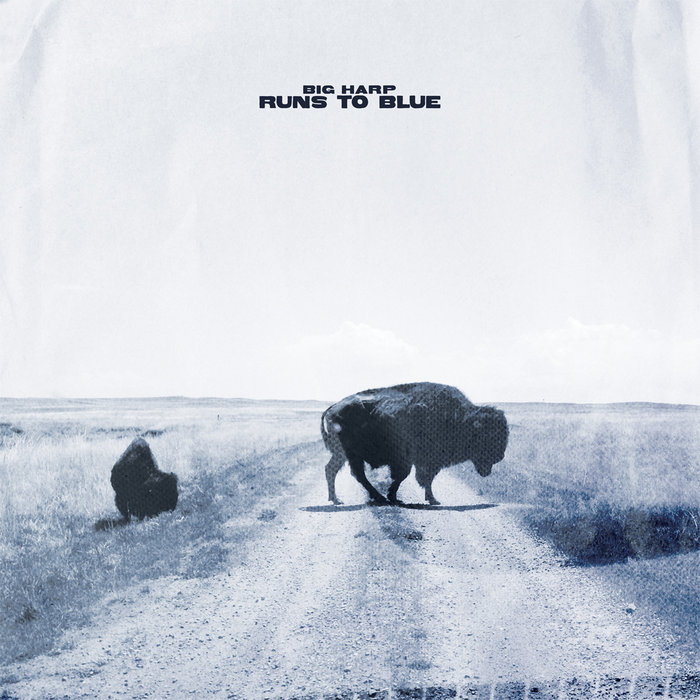 Runs to Blue cover art