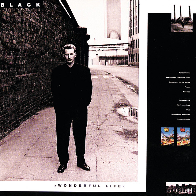 Wonderful Life cover art