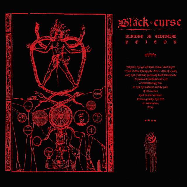 Burning in Celestial Poison cover art