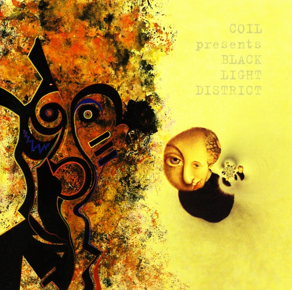 A Thousand Lights in a Darkened Room cover art