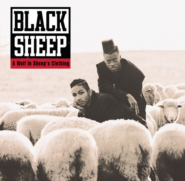 A Wolf in Sheep's Clothing cover art