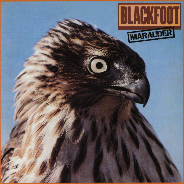 Marauder cover art