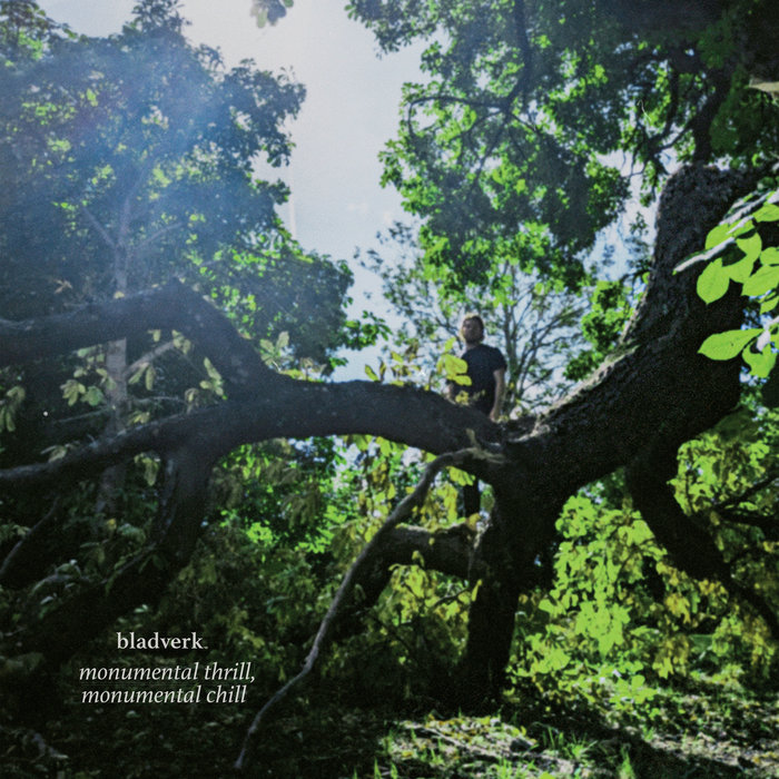 Monumental Thrill, Monumental Chill cover art