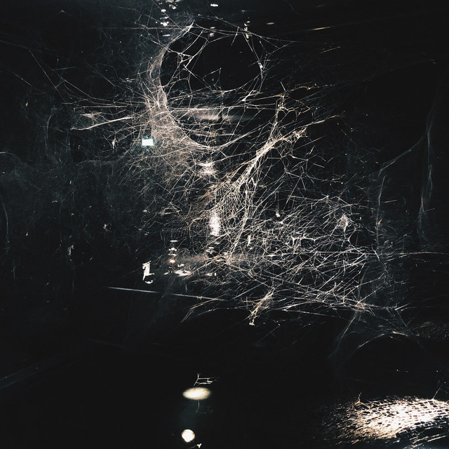 An Exit Exists cover art
