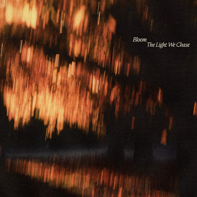 The Light We Chase cover art