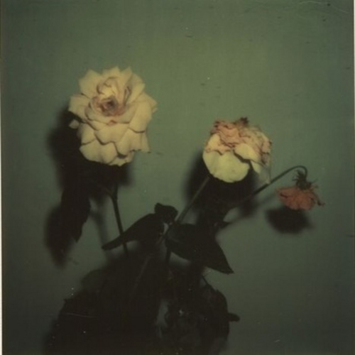 Give Me My Flowers While I Can Smell Them cover art