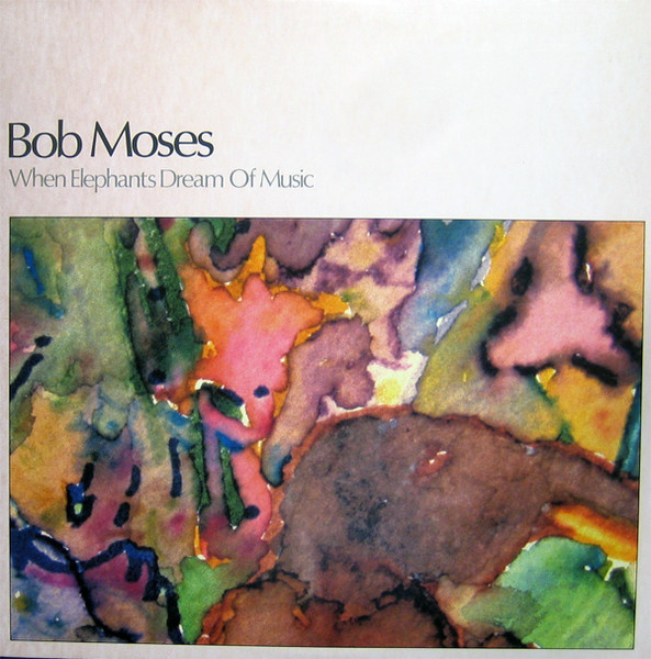 When Elephants Dream of Music cover art