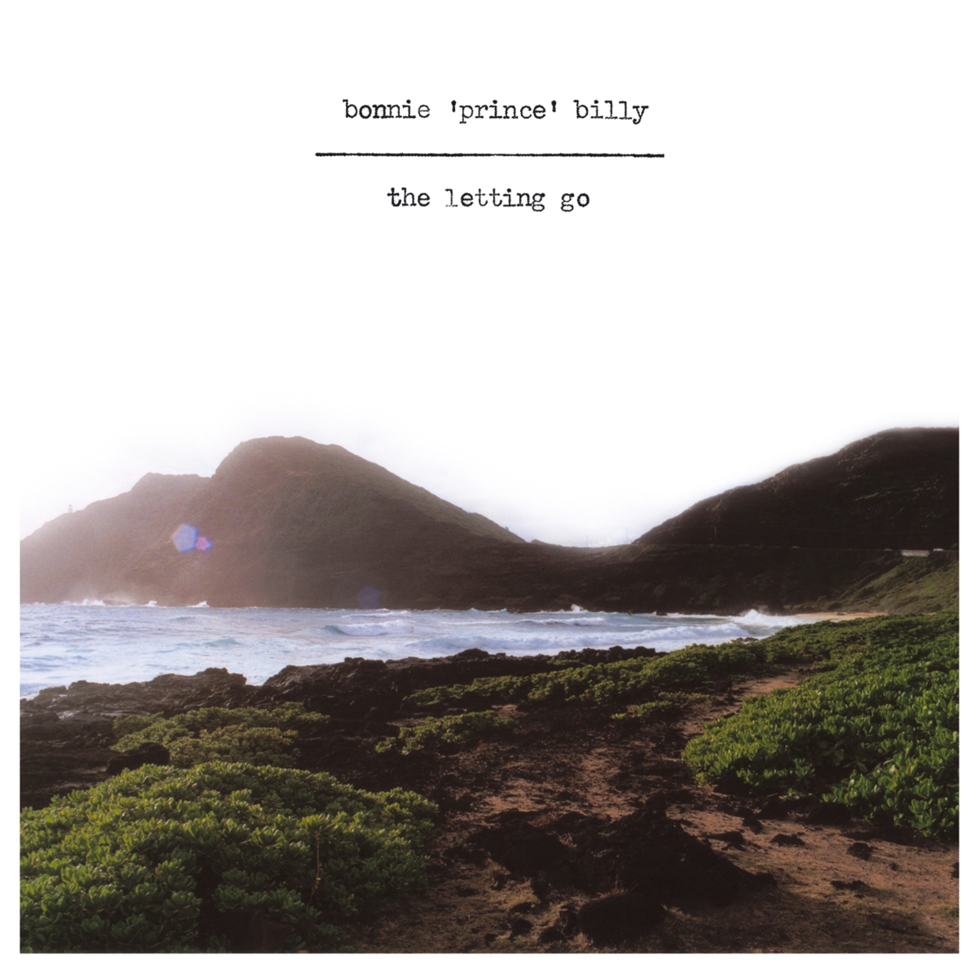 The Letting Go cover art