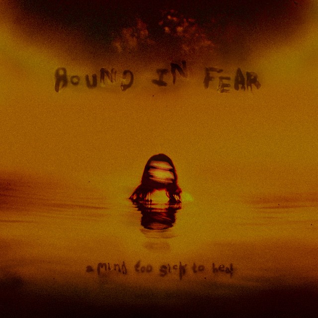 A Mind Too Sick To Heal cover art
