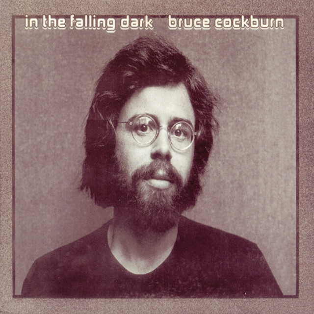 In the Falling Dark cover art