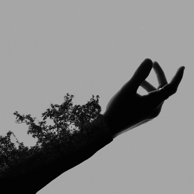 Fragility cover art