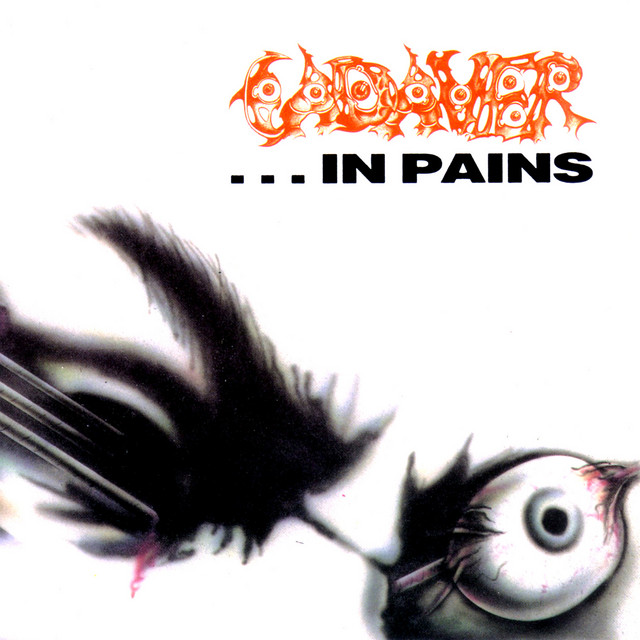 ...In Pains cover art