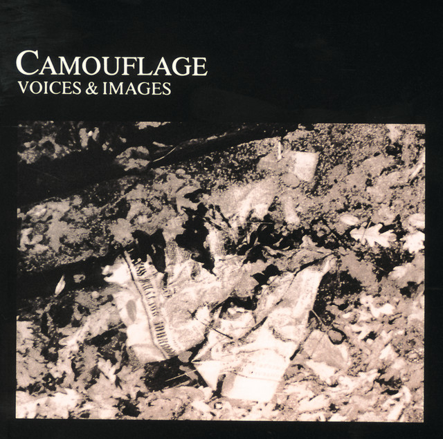 Voices & Images cover art
