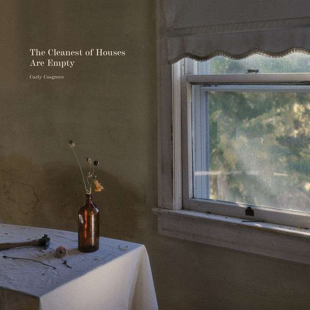 The Cleanest of Houses Are Empty cover art