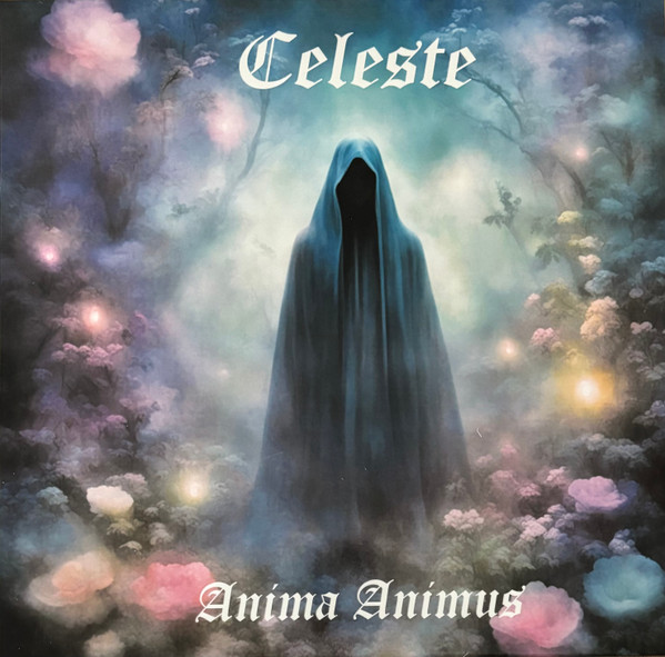 Anima Animus cover art