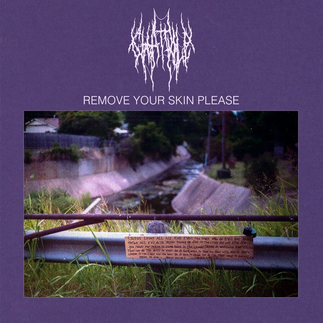Remove Your Skin Please cover art