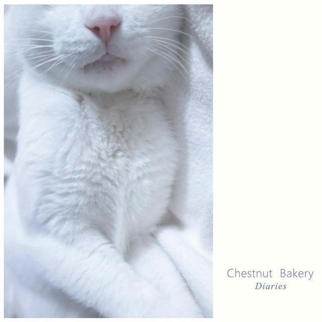 Diaries cover art