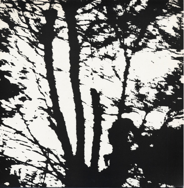 Camouflage Heart cover art