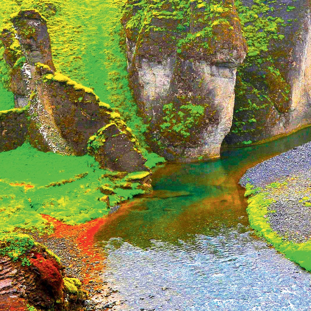 Rainforest cover art