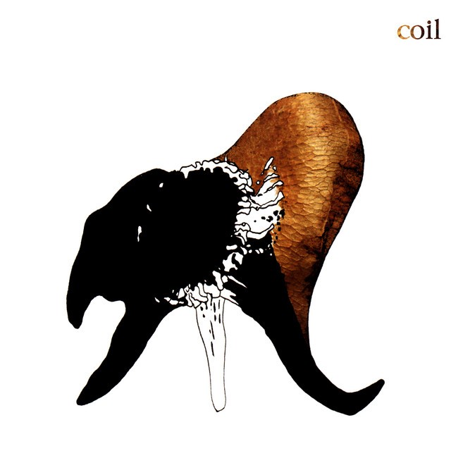 Black Antlers cover art