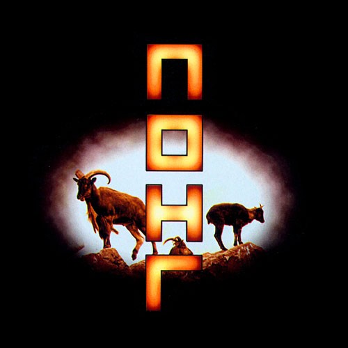 The Remote Viewer cover art