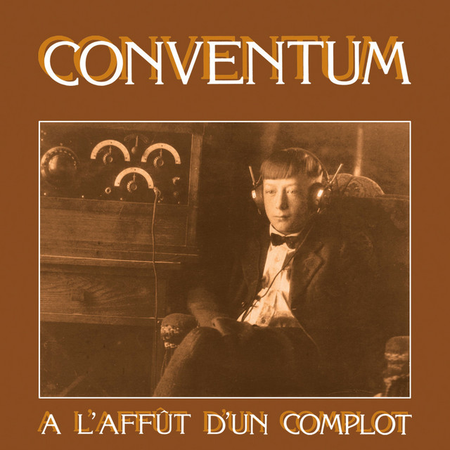 À l'affût d'un complot cover art