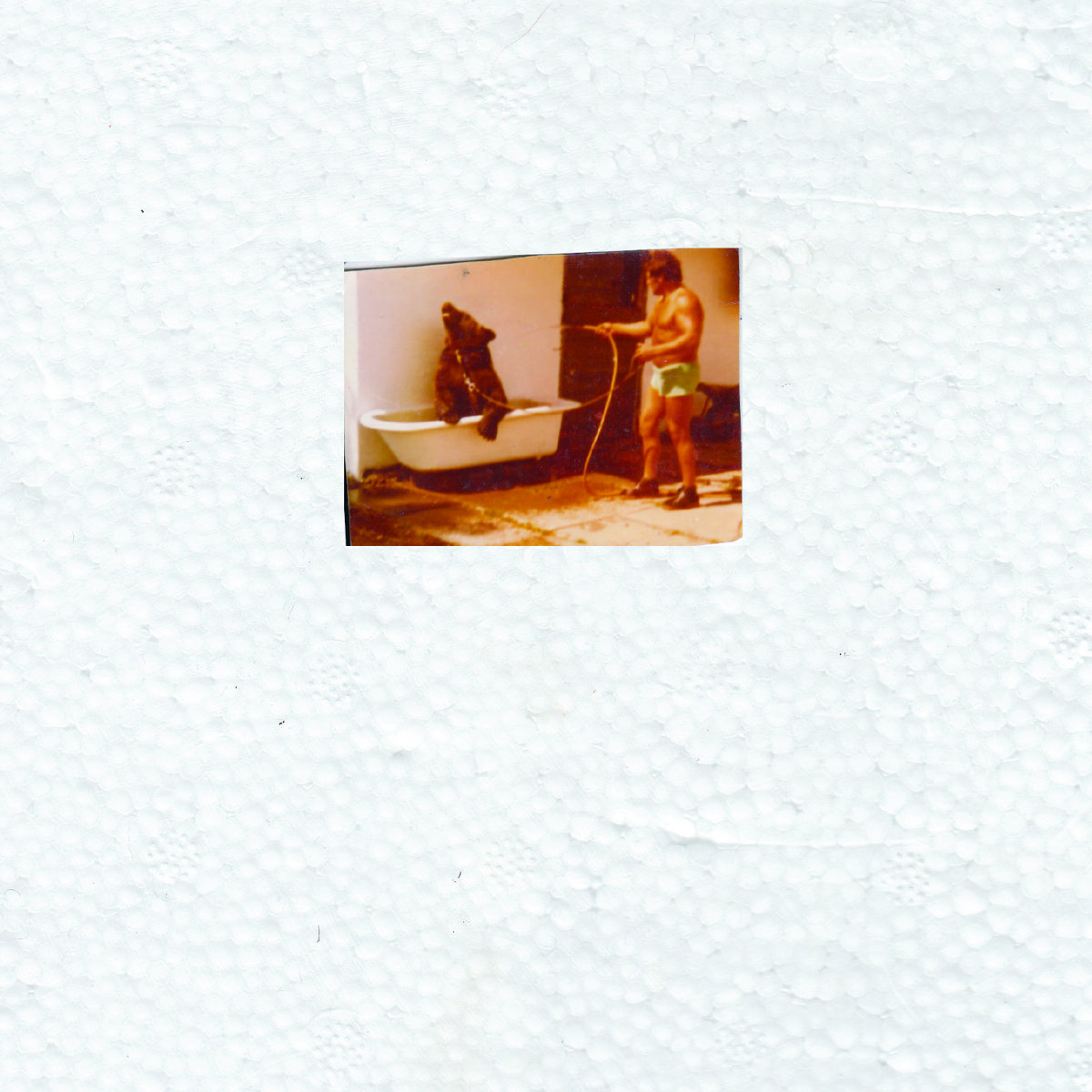 COLD cover art
