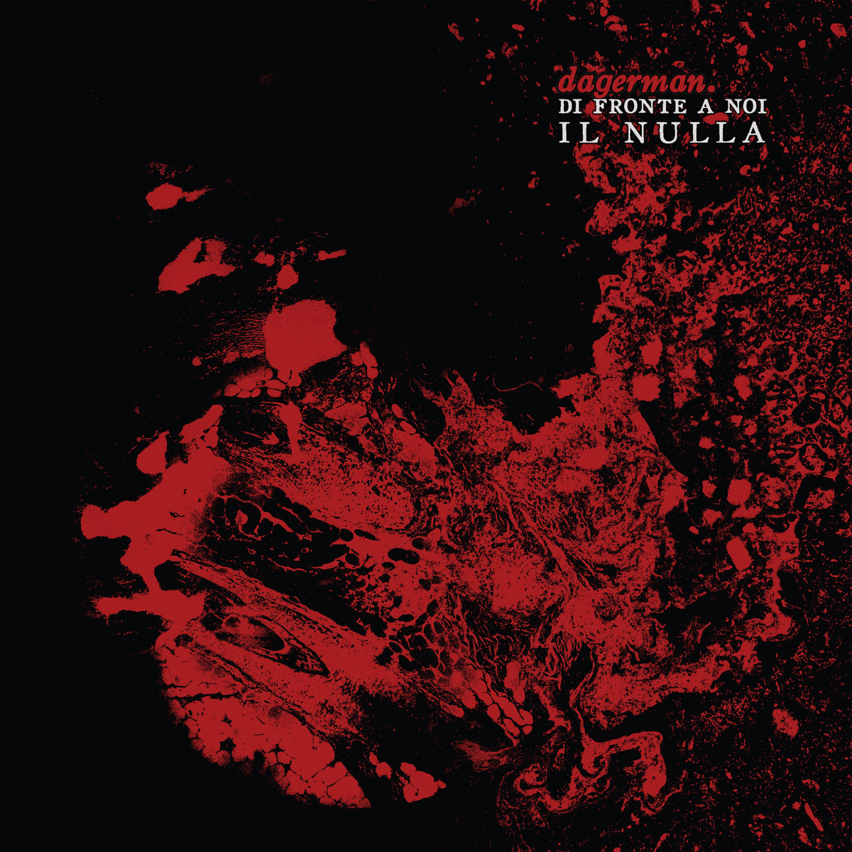 Di fronte a noi il nulla cover art