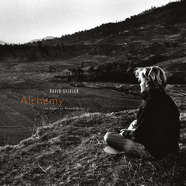 Alchemy: An Index of Possibilities cover art