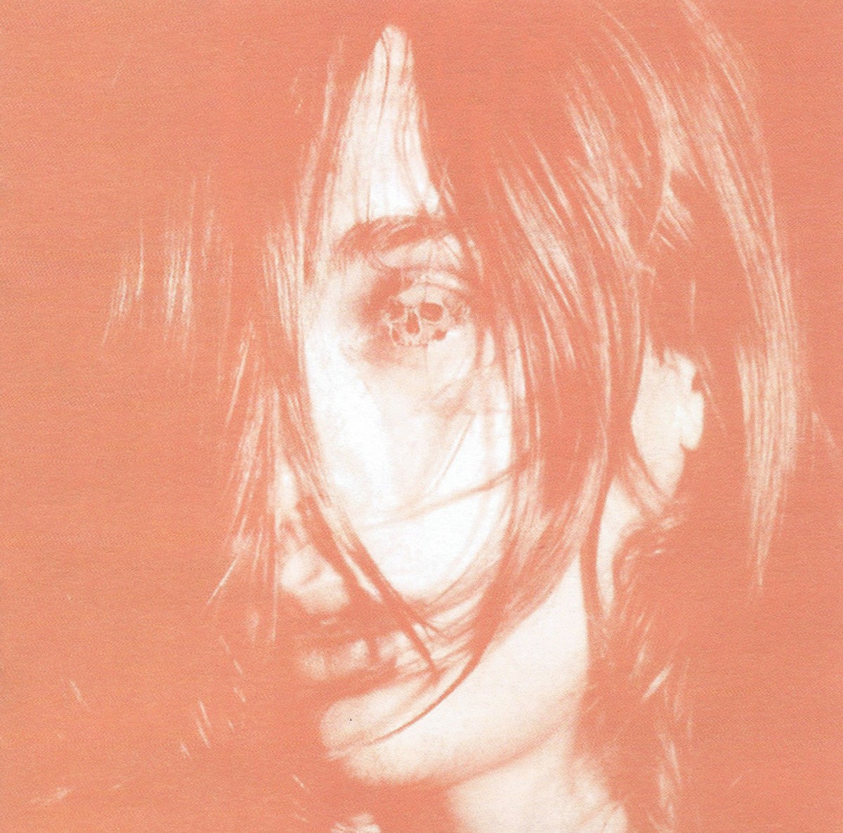 Microcastle / Weird Era Continued cover art