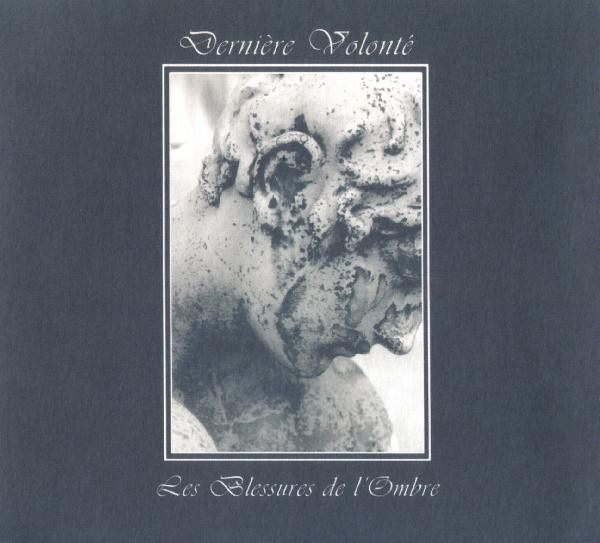 Les blessures de l'ombre cover art