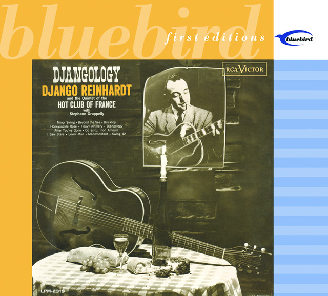 Djangology cover art
