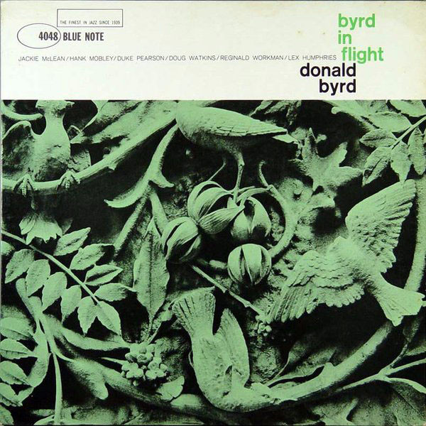 Byrd in Flight cover art