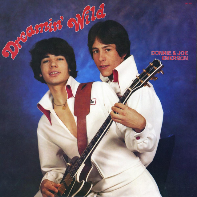 Dreamin' Wild cover art