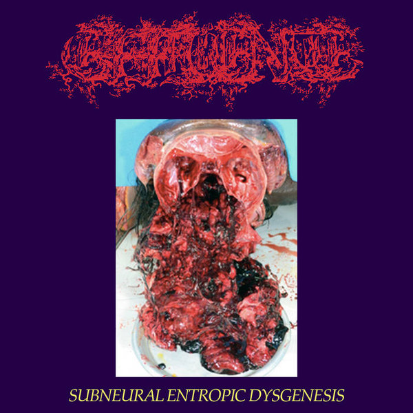 Subneural Entropic Dysgenesis cover art