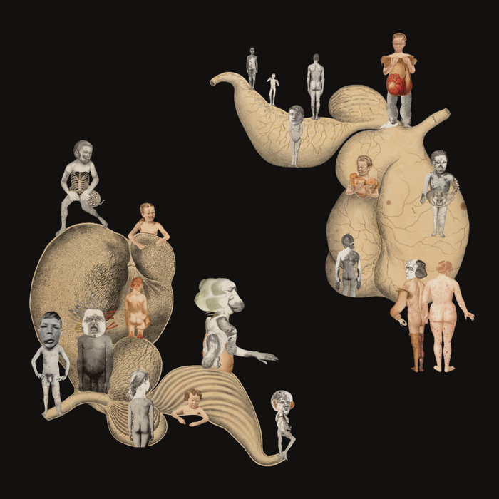 The most Pathetic poem is small people on fire cover art