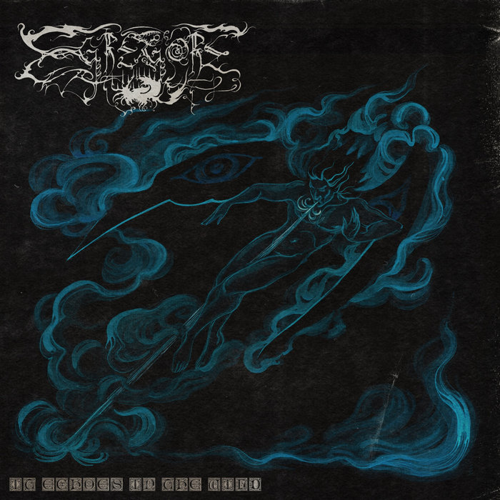 It Echoes In The Wild cover art
