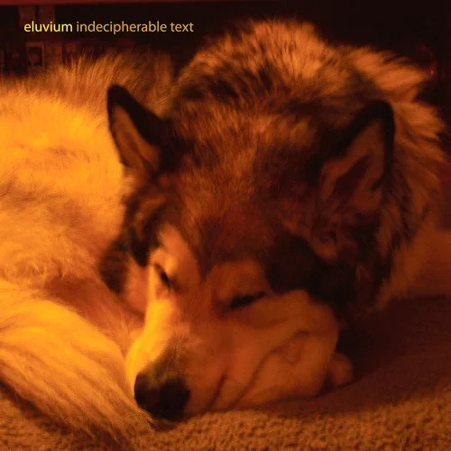 Indecipherable Text cover art