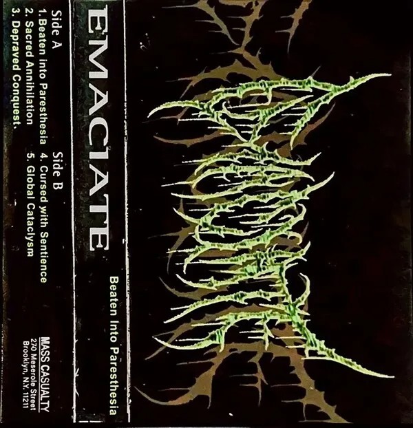 Beaten Into Paresthesia cover art