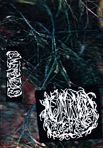 Allegory of Allergies cover art