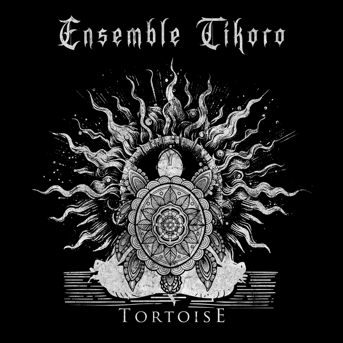 Tortoise by Ensemble Tikoro