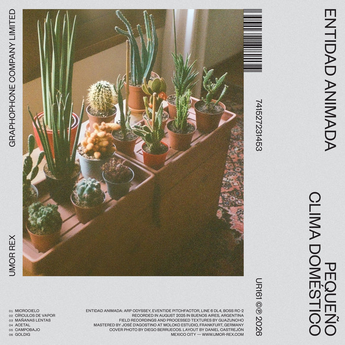 Pequeño clima doméstico cover art