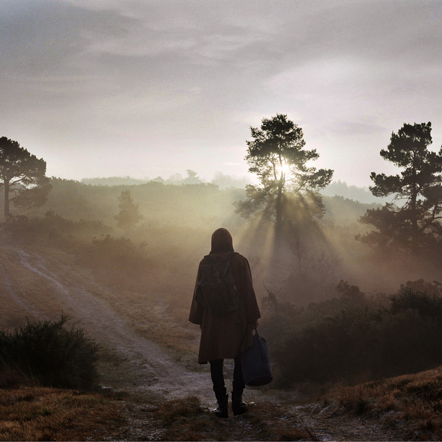 A New Nature cover art