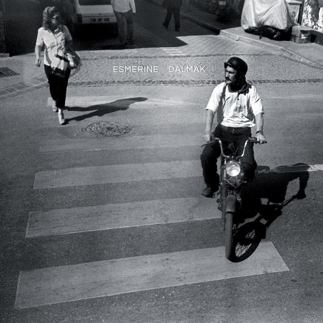 Dalmak cover art