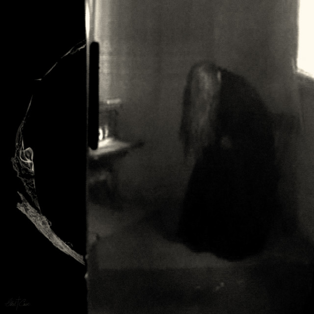 Perverts cover art