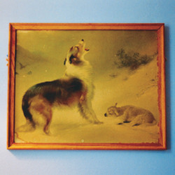Travels in Constants, Vol. 21: The Rescue cover art