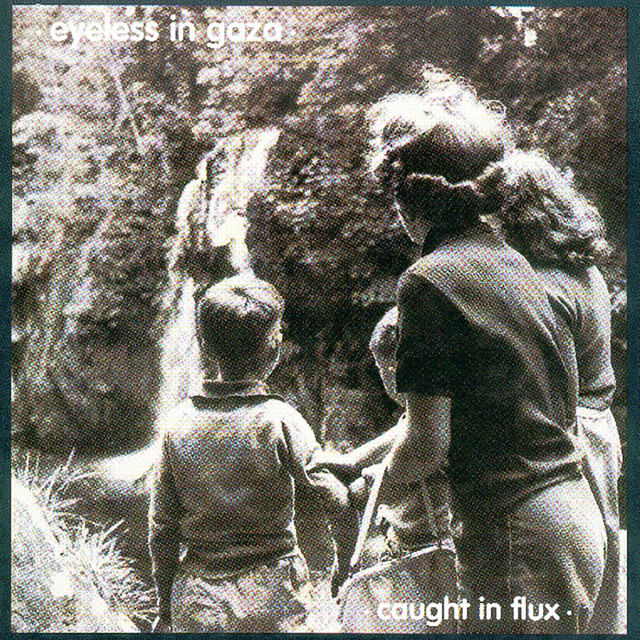 Caught in Flux cover art
