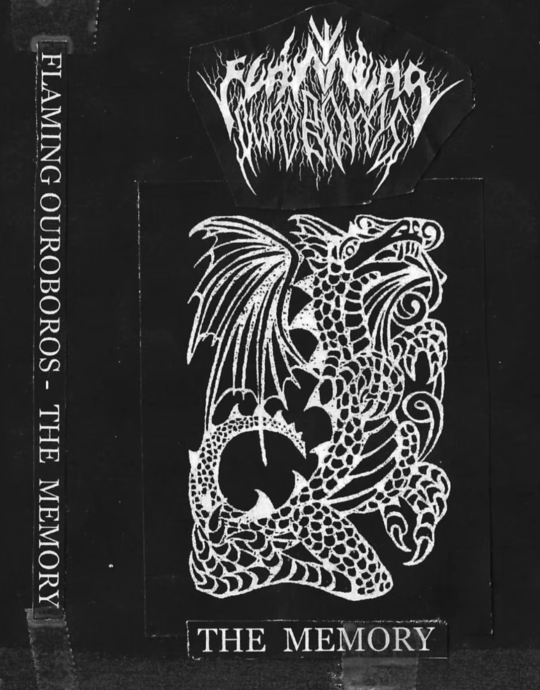 The Memory cover art