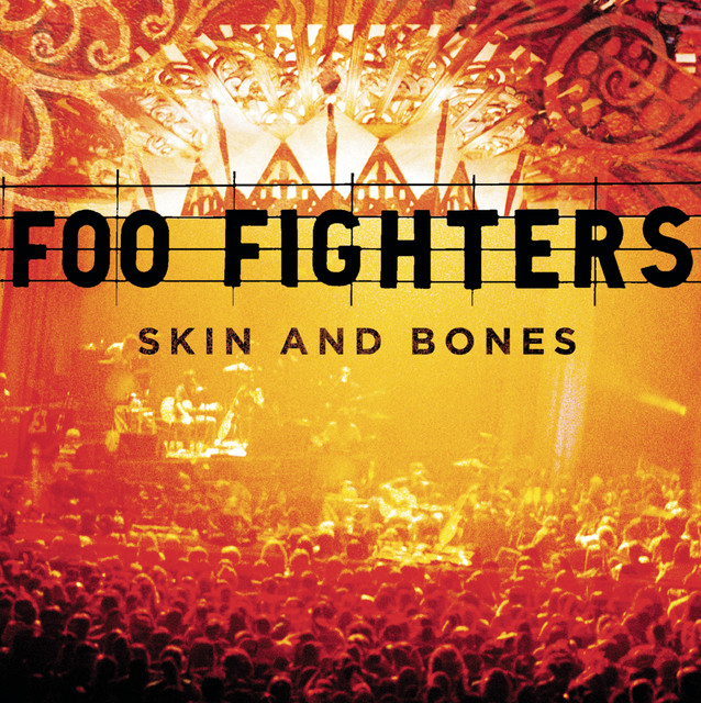 Skin and Bones cover art
